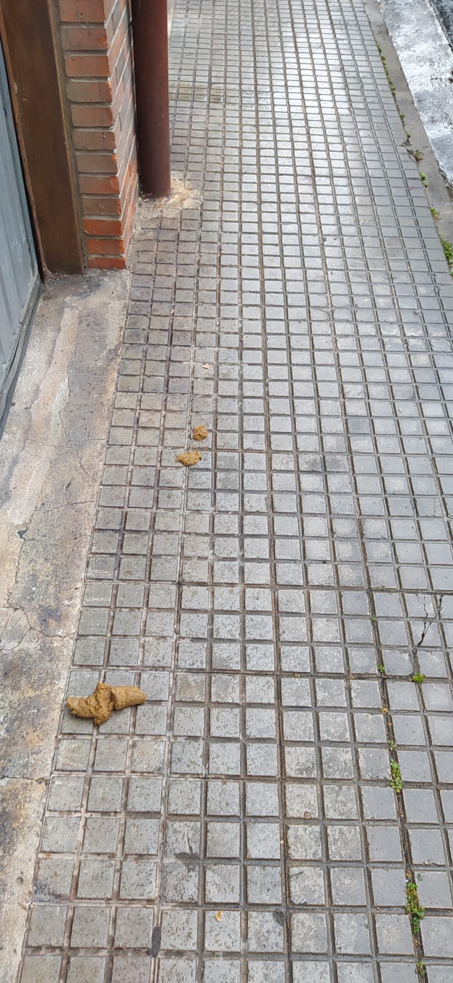 Noiz arte?