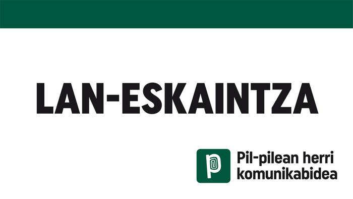 Lan-eskaintza: Argazkilaria edo kazetaria