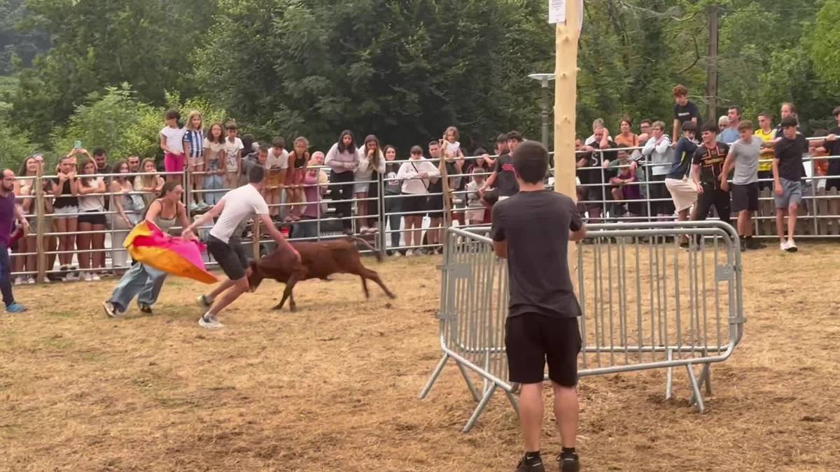 Paseak eta bestelakoak San Andresko zezenean