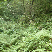 Tantai Baso Jabe Kooperatibaren hitzaldia