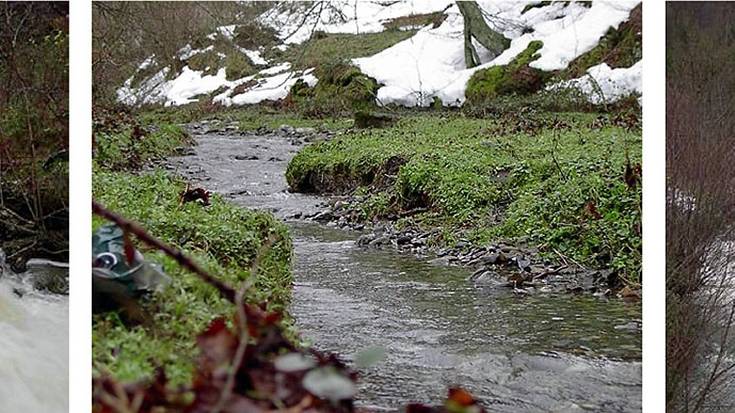 Natura eta zientzia jardunaldiak antolatu ditu Morkaikok bigarrengoz