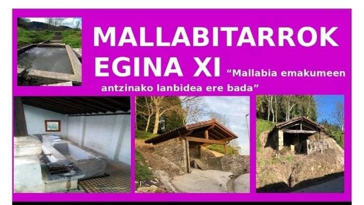 XI. Mallabitarrok Egina