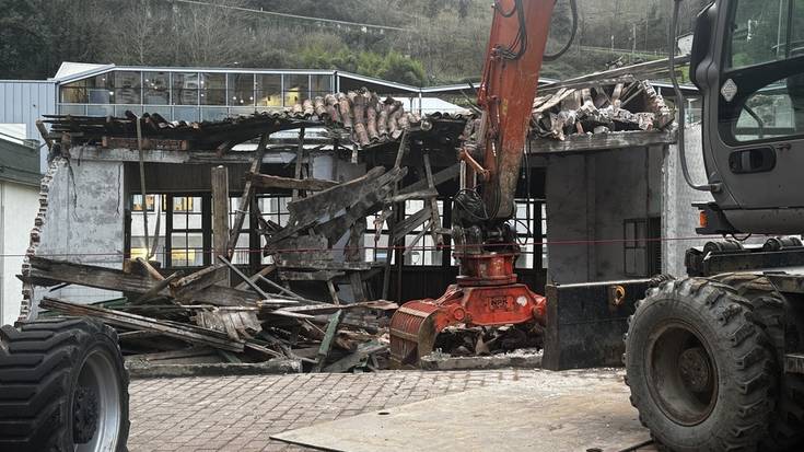 Etxearen zatirik handiena botata