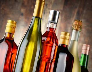 Alkoholismoak familia giroan duen eraginaz berba egingo dute Elgoibarko Kultur Etxean