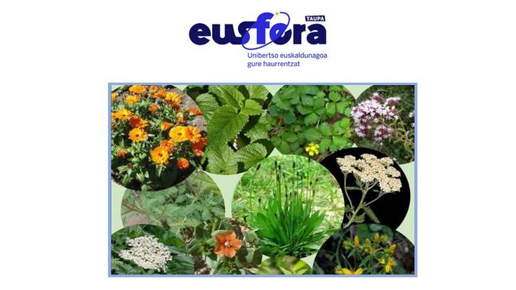 Eusfera: "Altxorraren bila sendabelar artean"