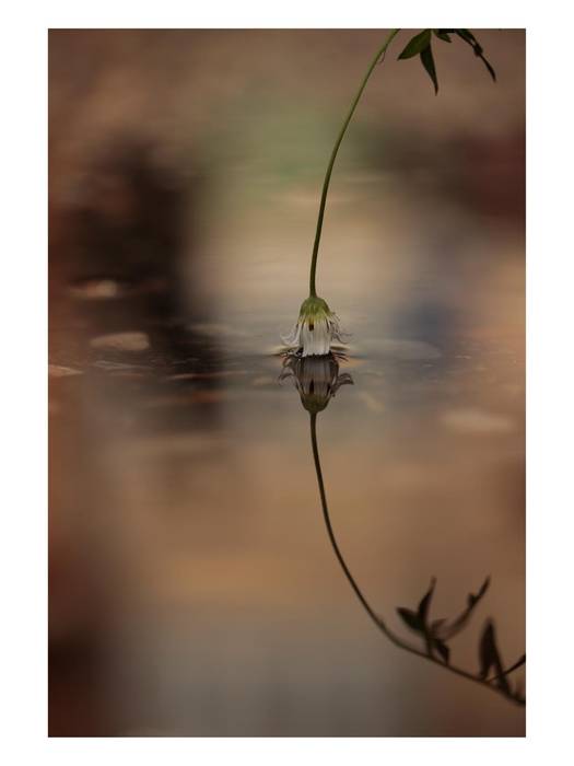 Kontrargiren zozketaren irabazleak