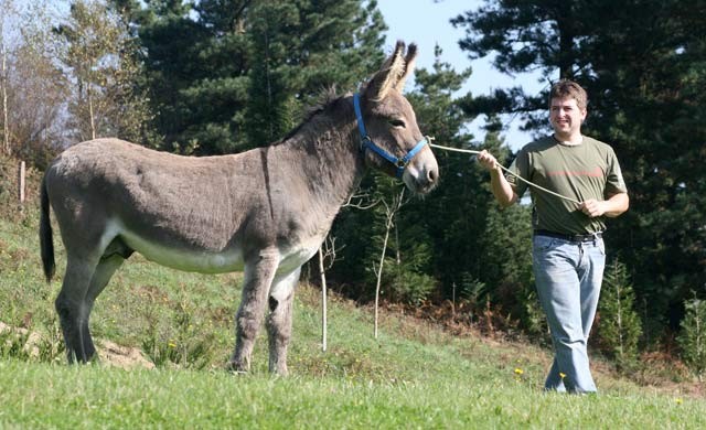 Sei gizon astoaren kontra arituko dira zapatuan