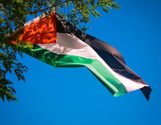 Greba, lanuzteak eta mobilizazioak izango dira bihar Palestinaren alde