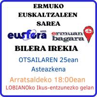 Bilera irekia: Euskaltzaleen Sarea