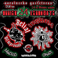Punk kontzertuak