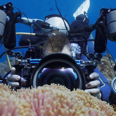 CIMASUB: Zilarrezko saioa