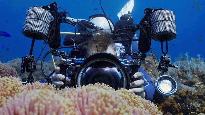 Itsaspeko munduaren edertasuna erakutsiko du CIMASUBek martxoan