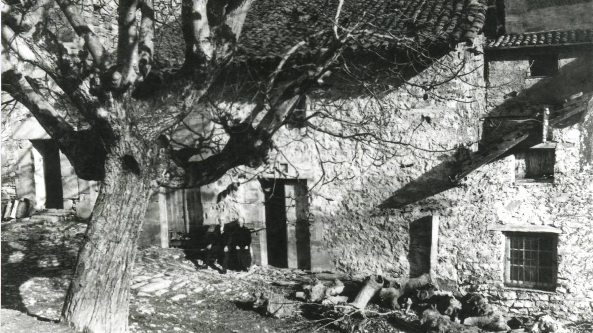 Orozkoneko baserri parean