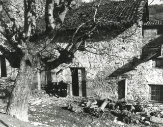 Orozkoneko baserri parean