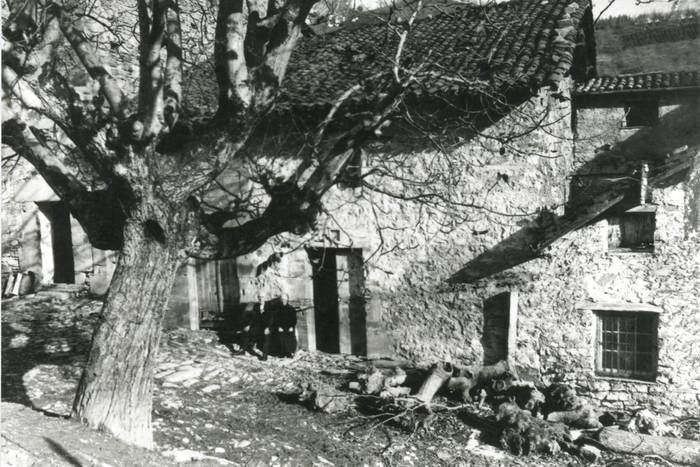 Orozkoneko baserri parean