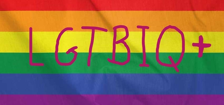 LGTBIQ+ kolektiboko letra guztien esanahia, Ahotsak proiektuaren eskutik