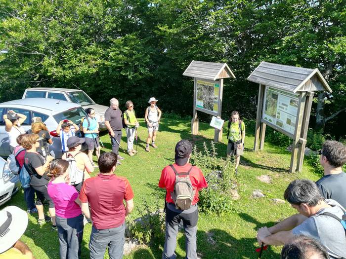 Bisita gidatua Dolmenen Ibilbidean zehar