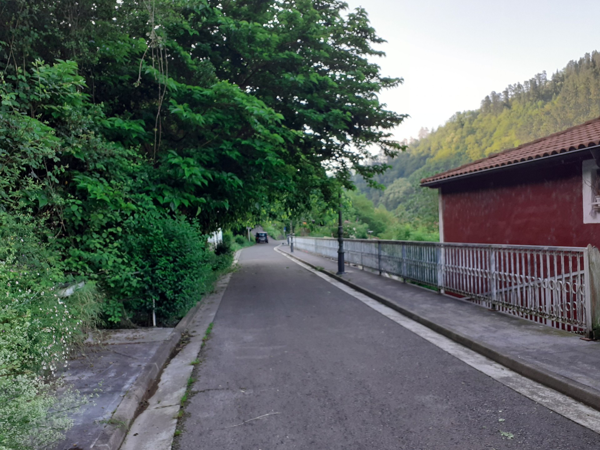 Lepokoa lapurtu diote 90 urte pasako emakume bati bidegorrian