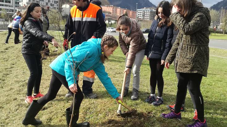 Melitoneko errotonda ondoko berdegunean landatu dituzte ikasleek 30 zuhaitz
