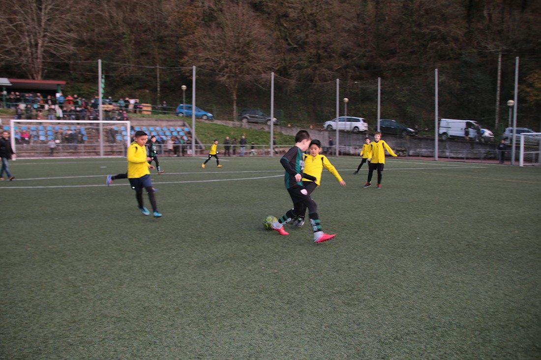 Datorren astean, futbol eskolari, rugby eskolari eta udal kiroldegiko talde-kirolei berrekingo diete