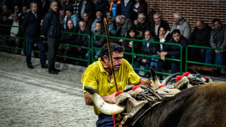 Idiak gora eta behera ibiliko dira egunotan probalekuan