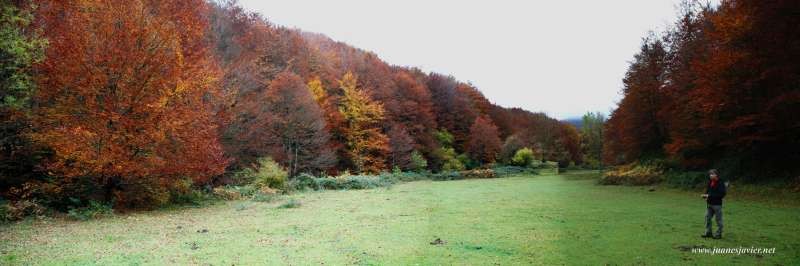 Iturrigorriko basoa ezagutzeko irteera egingo dute 'Gure natura ezagutzen' ekimenaren baitan