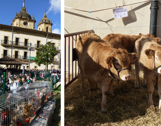 Ganadurik gabeko San Martin azoka