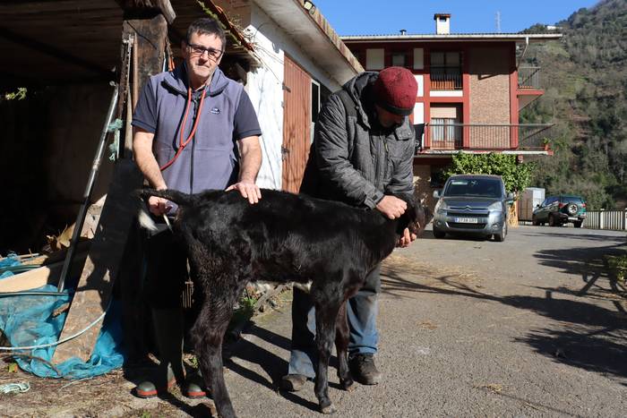 Agustin Urbieta (Albaitaria): "Baserrietako albaitaritza zerbitzua egoera larrian da Debabarrenean eta Gipuzkoa osoan"