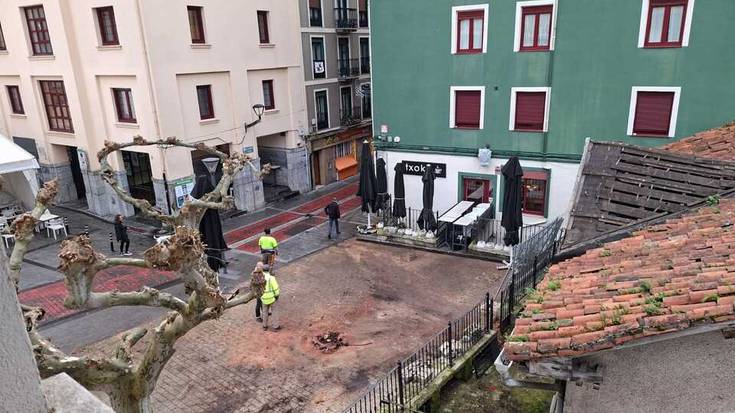 Plaza Zaharreko zuhaitza botata, astelehenean hasiko dira etxea eraisten