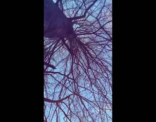 'Neguko solstizioko atea' ipuina sortu dute Mendaron