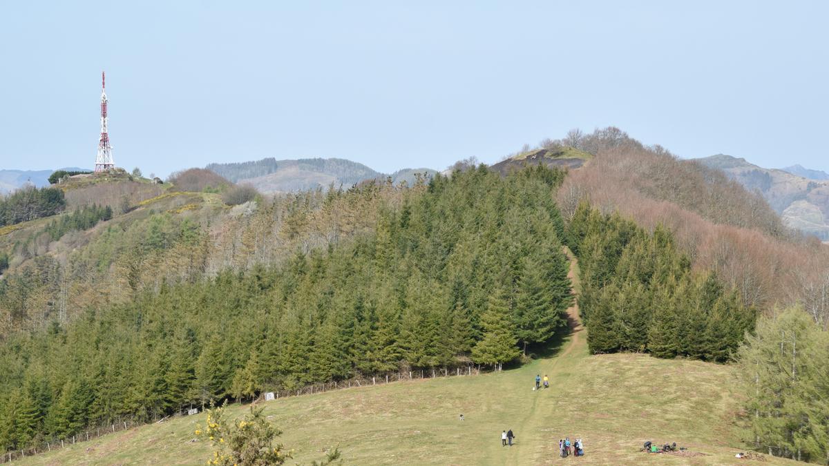 Hiru zakurrek eraso egin diete bi herritarri Karakateko mendigainera bidean