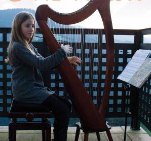 Akordeoi orkestra eta harpa soinuak izango dira zapatuan Elizan