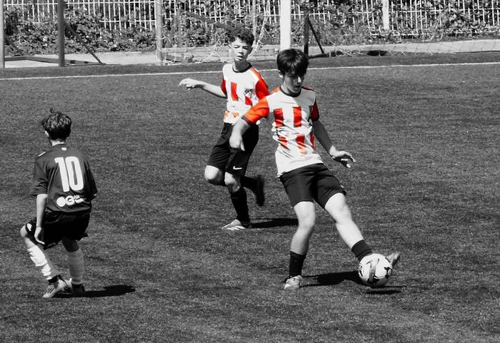 Urteko batzar orokorra egingo du C.D. Elgoibarrek ekainaren 19an