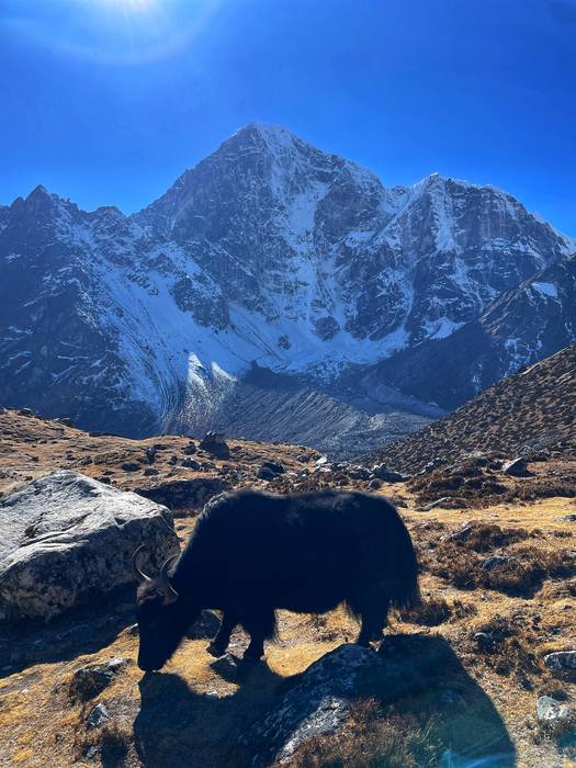 Dinboche-Thokla Pass-Lobuche