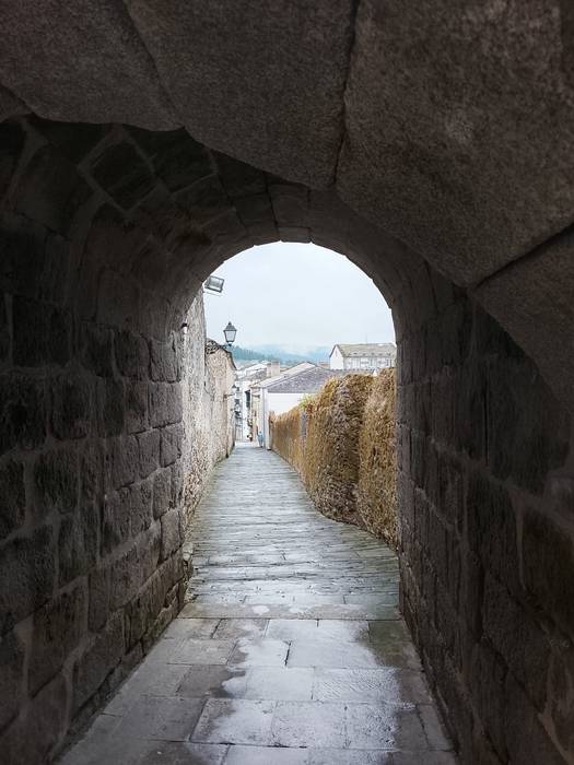 Viveiro 2