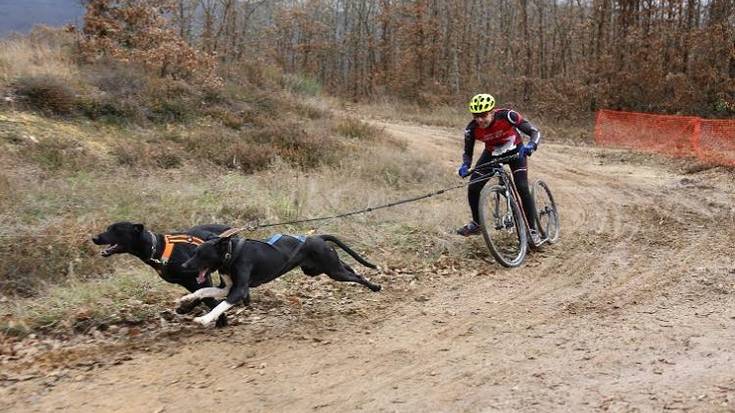 Imanol Cid hirugarren lur gaineko Espainiako mushing txapelketan