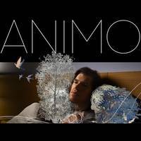 Ongarri zinekluba: 'Animo'