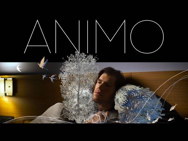 Ongarri zinekluba: 'Animo'