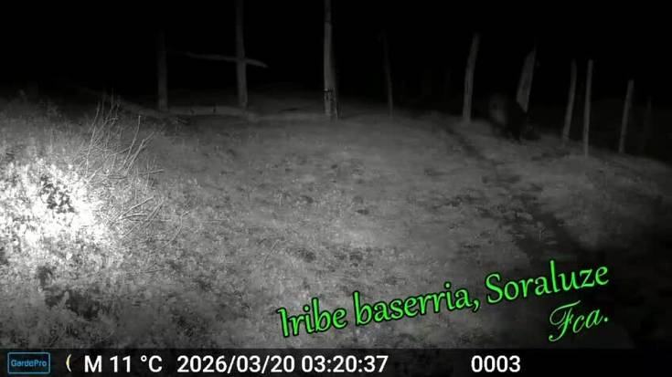 Ama basurdea eta 10 kume Iribeko zelaian