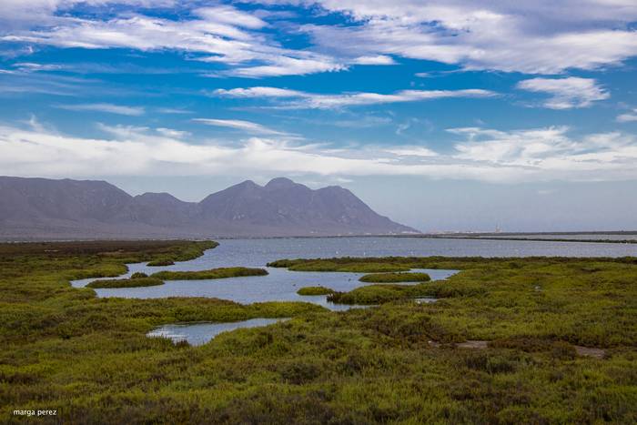 Cabo de Gatako parke naturala (Almeria)