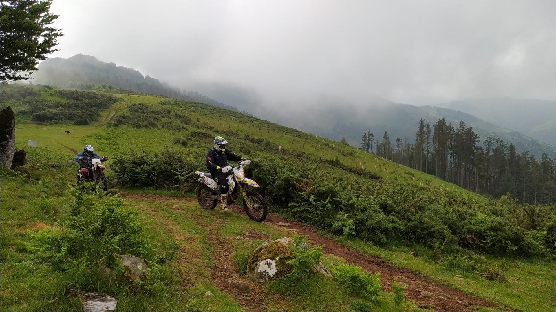 Motorrak mendigainean