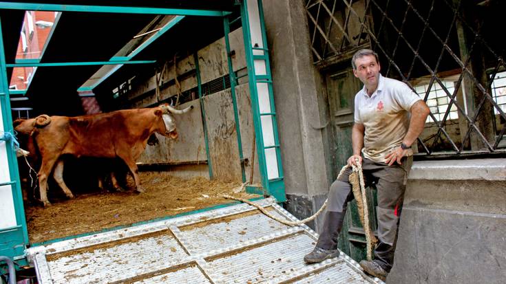“Egoera larria da, ez dakigu animaliak kendu edo zer egin”