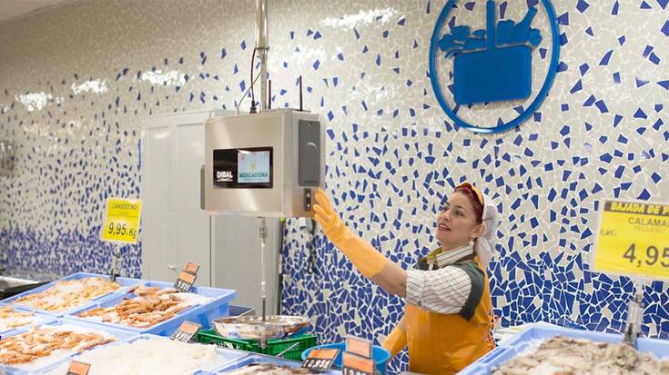 Mercadonak supermerkatua irekiko du Elgoibarren 2018 amaierarako, Lerun Txikin