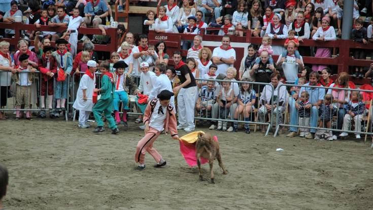 “Nahitaezko aldaketak” Umeen Egunean, etxeko animaliak babesteko 9/2022 Legearen ondorioz