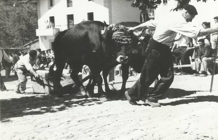 Idi-probak plazan