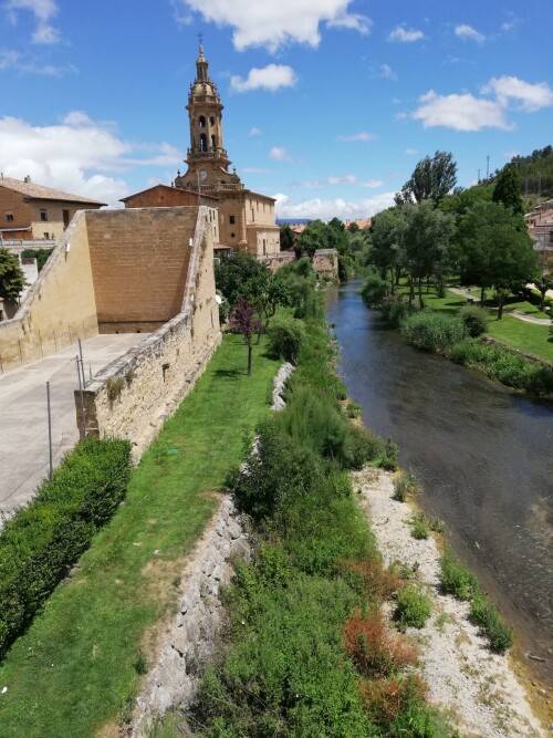 Cuzcurrita del rio Tiron (Errioxa)