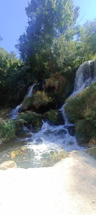 Kravice ur-jauziak