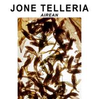 Erakusketa: Jone Telleria "Airean"