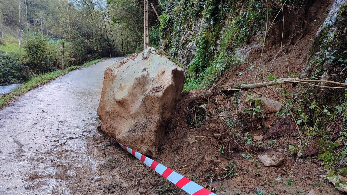 Harkaitz handi bat erori da Aranerrekako baserri bidean