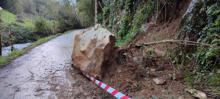 Harkaitz handi bat erori da Aranerrekako baserri bidean